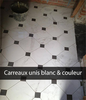 Carrelage unis blanc et couleur